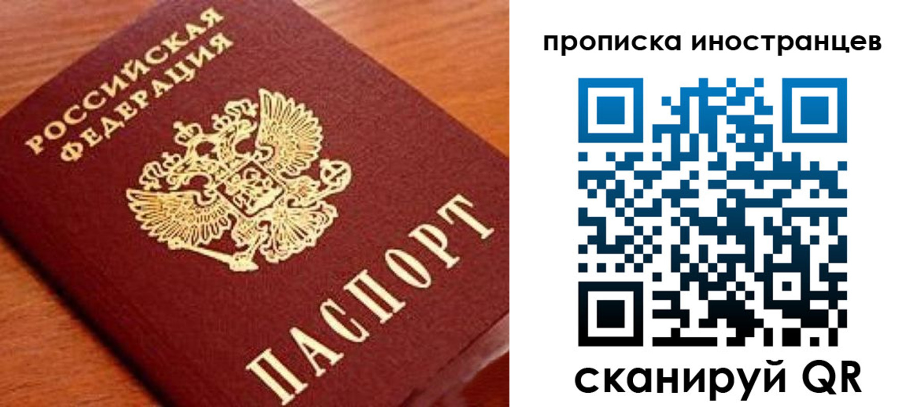 прописка законно в Светлогорске
